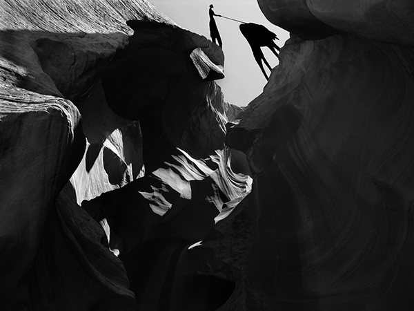 canyon dog shadow 